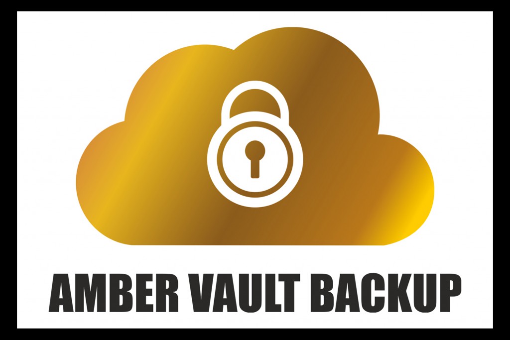 Cloud back up, on premise back up