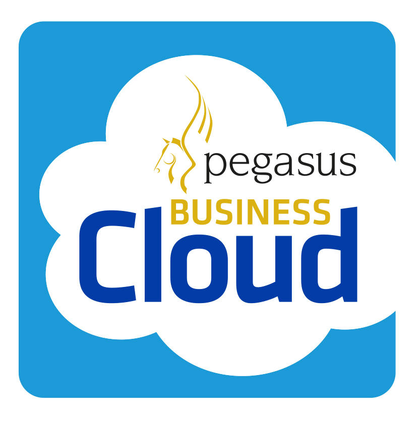 Pegasus Business Cloud