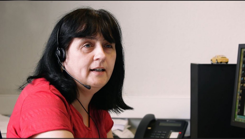 krys Support agent for accounting software support