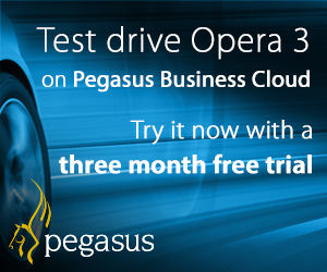 Pegasus Business Cloud - free offer