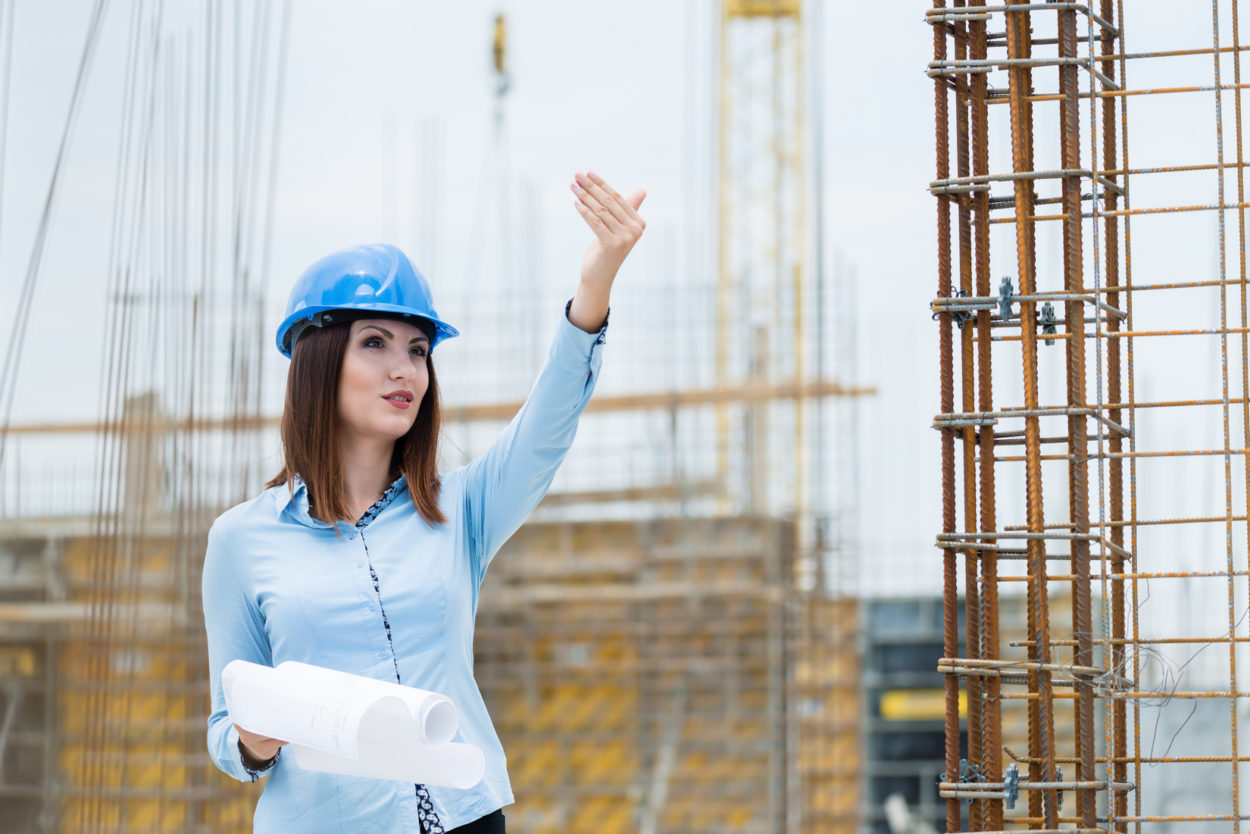 CIS MD web Construction industry software for managing directors