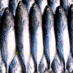 Fish Phishing, cybersecurity
