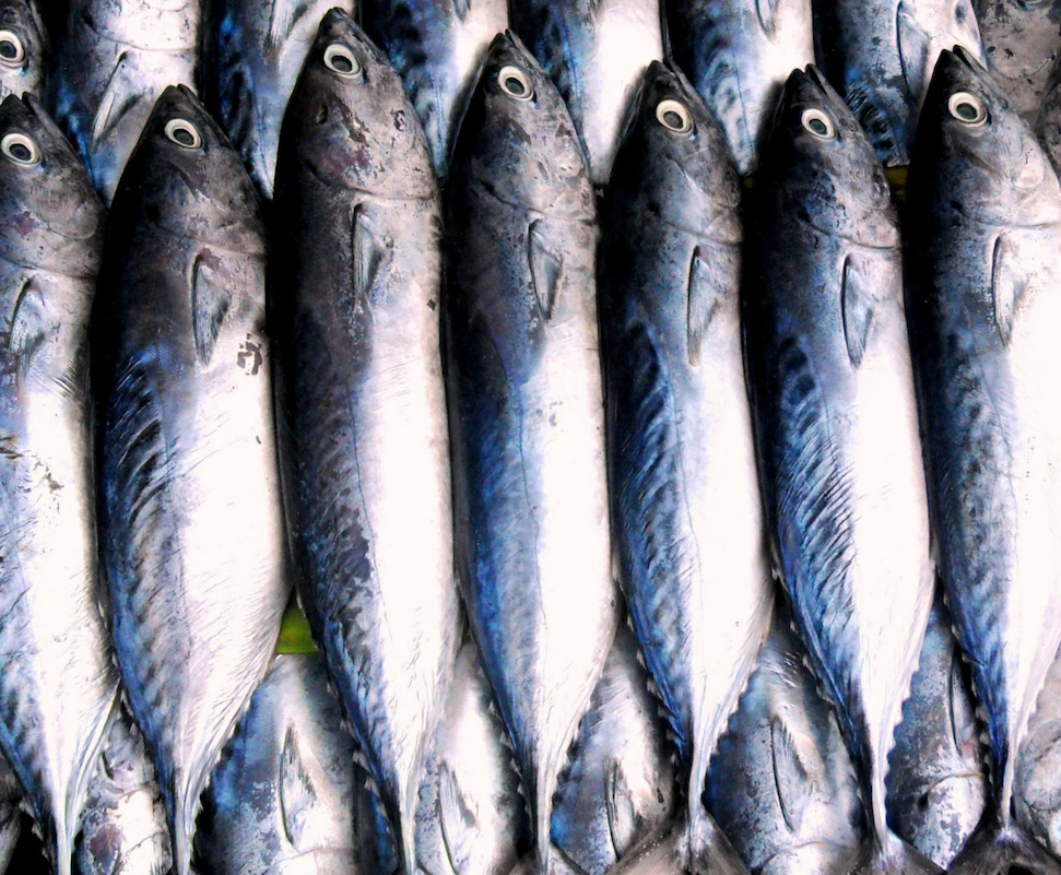 Phishing, cybersecurity