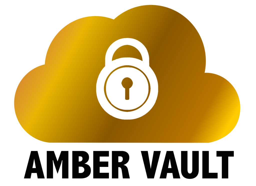 Amber Vault, Cloud backup, on premise backup