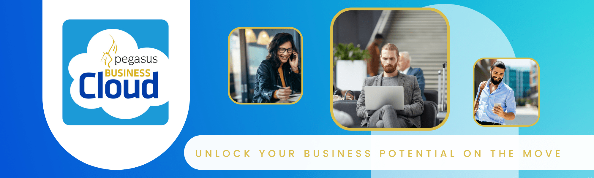 Business Cloud website banner) Pegasus Business Cloud