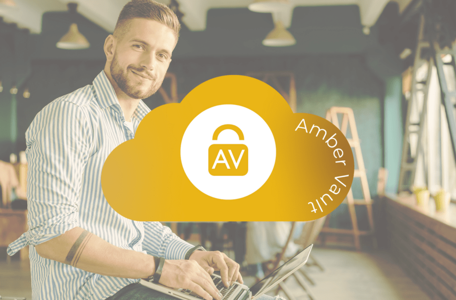 Amber Vault Cloud Services
